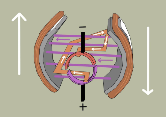 v8517-image.png
